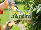 Loja de serviços para jardim em Itaipu: Conheça a Criando Jardim.