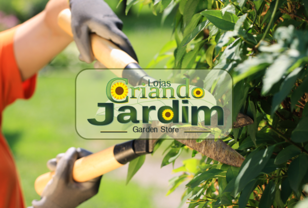 Loja de serviços para jardim em Itaipu: Conheça a Criando Jardim.