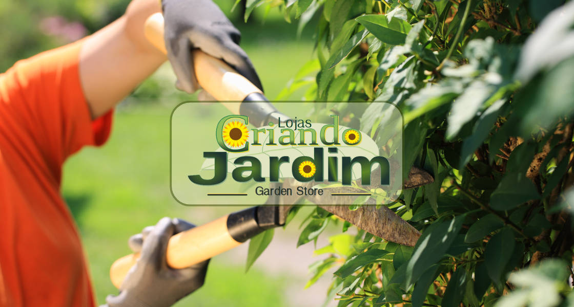 Loja de serviços para jardim em Itaipu: Conheça a Criando Jardim.