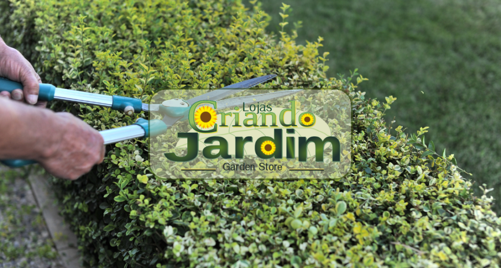 Loja de serviços para jardim em Itaipu